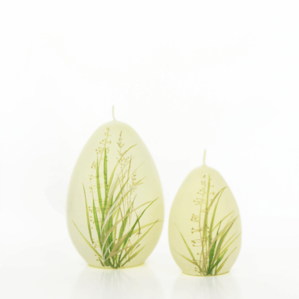 Žvakė - kiaušinis